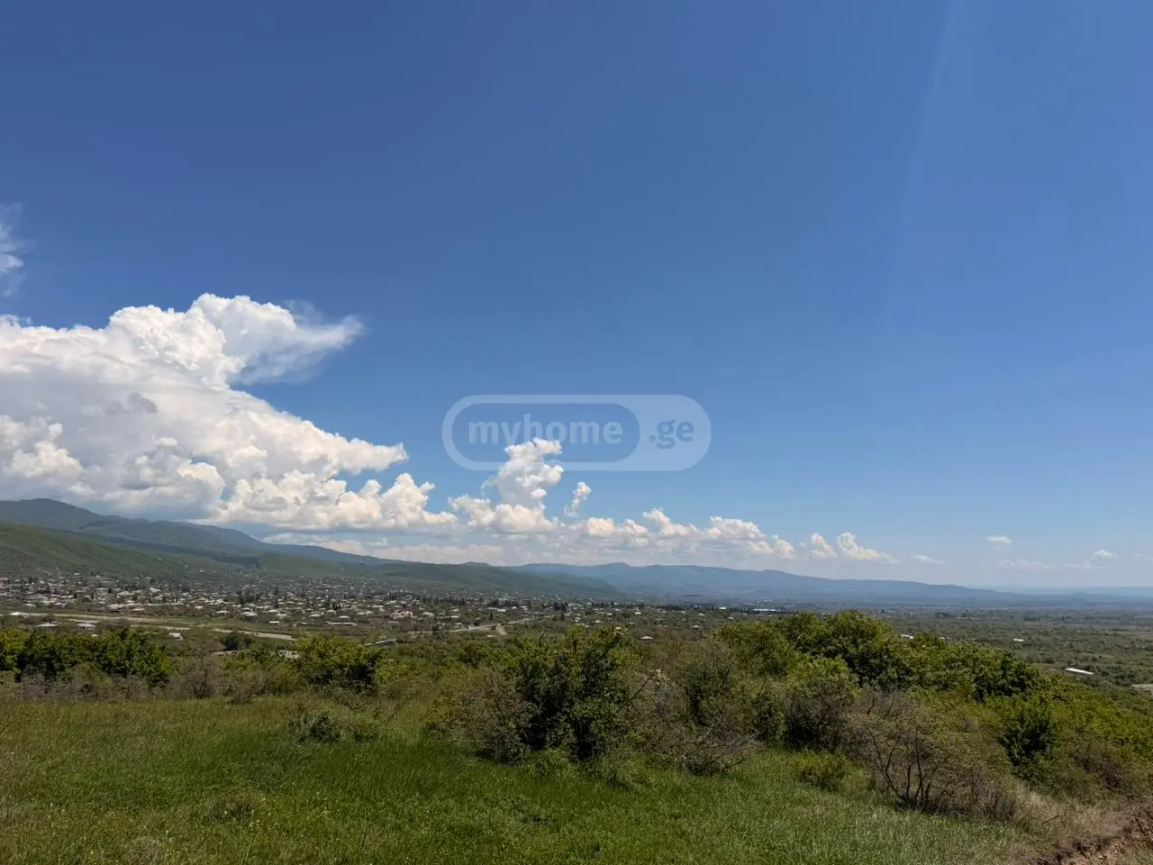 For Sale Sainvestitsio Land Plot Sagarejoshi view 9