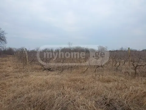 Продажа Земля / участок в Gurjaanis Munitsipalitetshi view 5