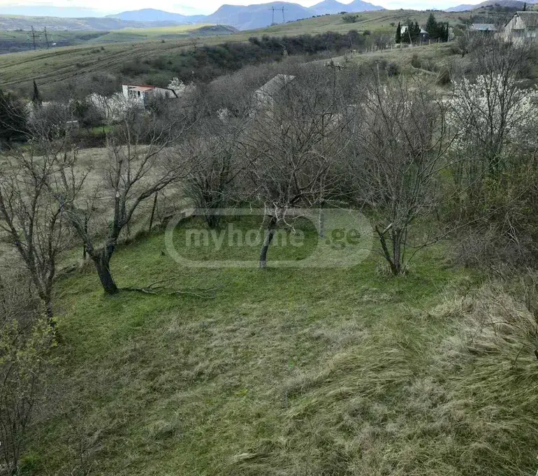 For Sale Sasoplo-Sameurneo Land Plot Avlabarshi view 3