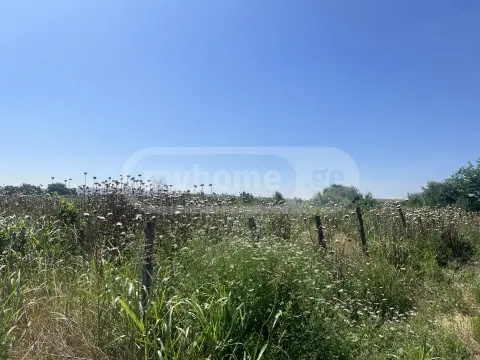 Продажа Земля / участок в Sagarejos Munitsipalitetshi view 2