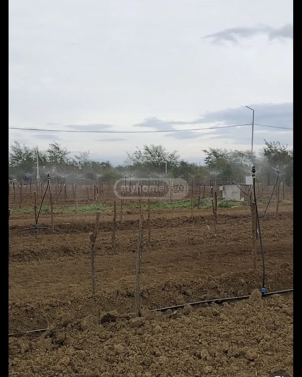 For Sale Sasoplo-Sameurneo Land Plot Tsqaltubos Munitsipalitetshi view 3