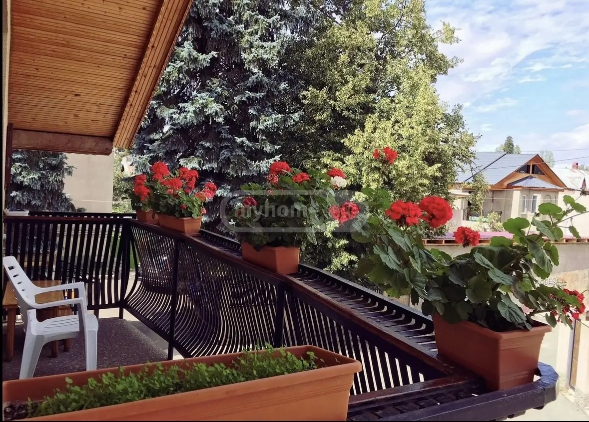 Daily Rent 3 Room Sastumro Bakurianshi, 5 of 12
