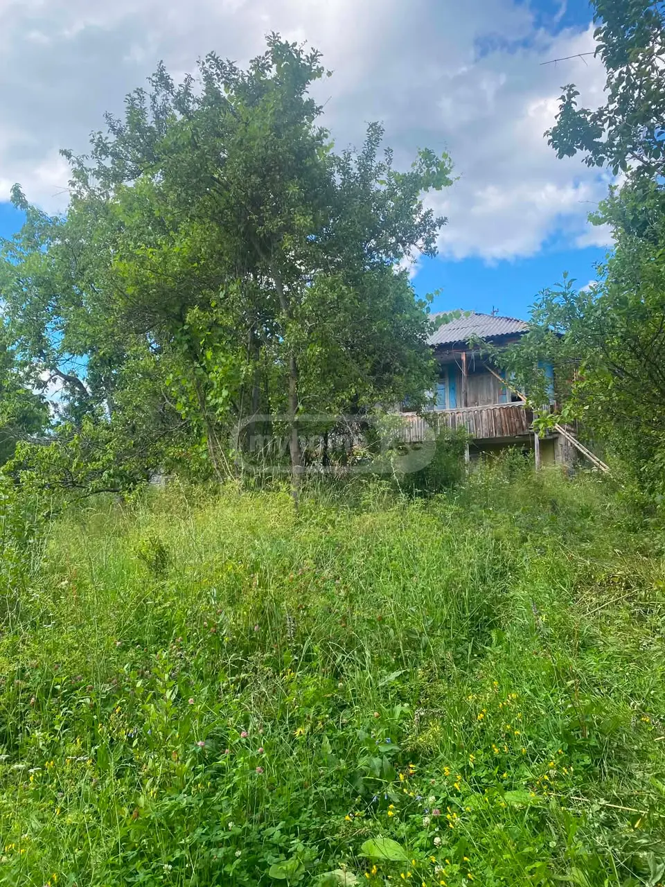For Sale Sasoplo-Sameurneo Land Plot Abastumanshi view 2