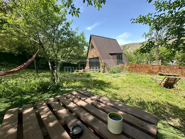 For Sale 3 Room Country House Zemo Lisze view 2