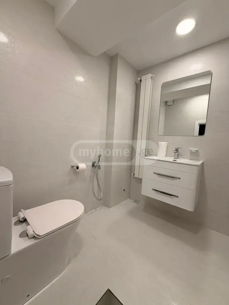 For Rent Saopise Commercial Space Shindisshi view 2