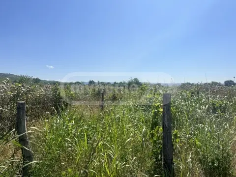 Продажа Земля / участок в Sagarejos Munitsipalitetshi view 1