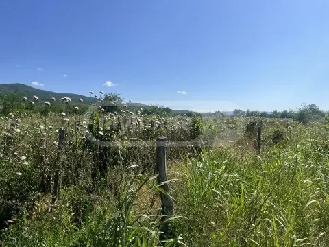 Продажа Земля / участок в Sagarejos Munitsipalitetshi view 4