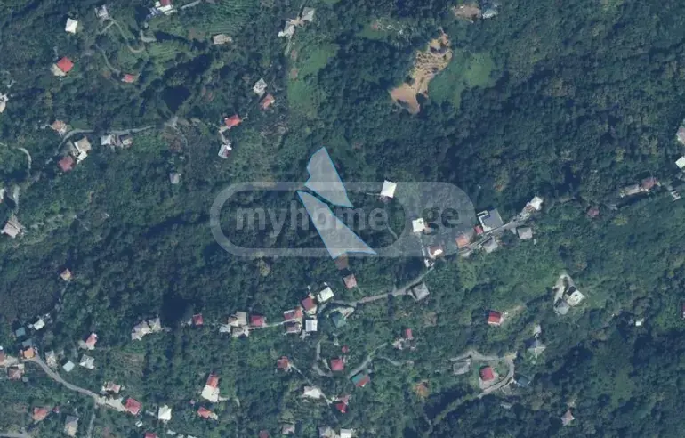 For Sale Sasoplo-Sameurneo Land Plot Khelvachauris Munitsipalitetshi view 1