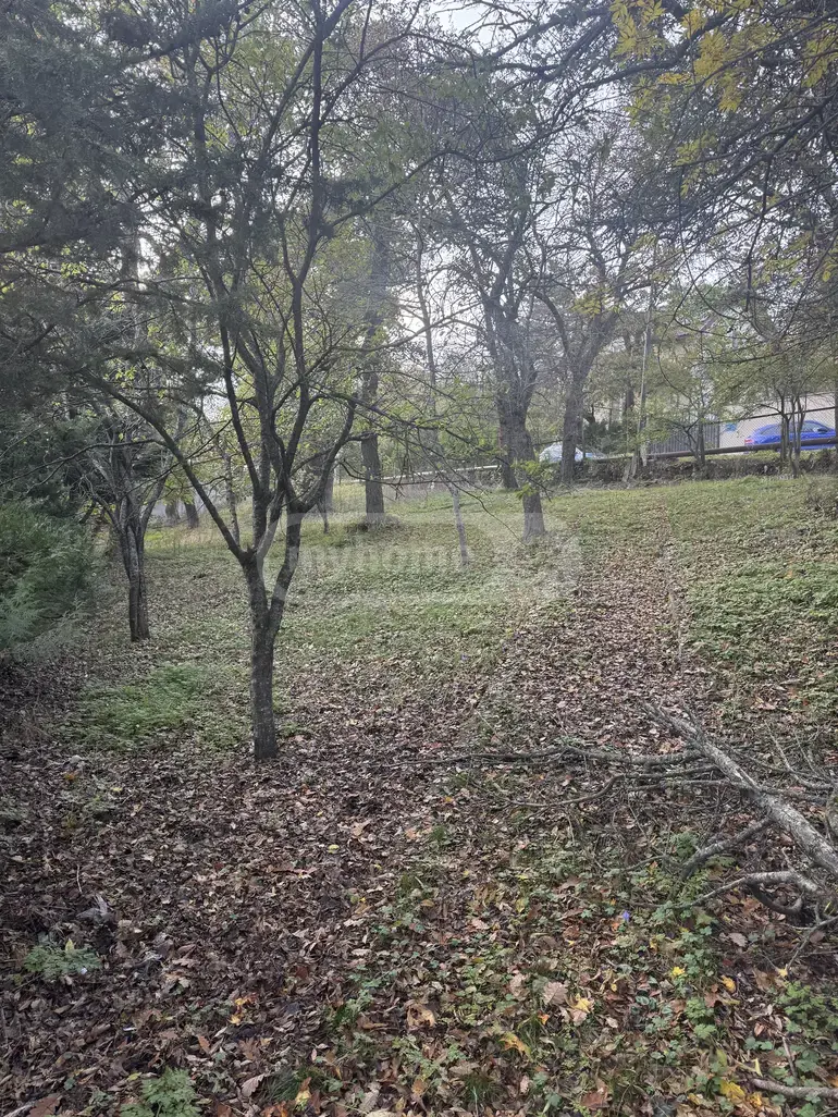 For Sale Mtliani Shenoba Commercial Space Kojorshi view 6