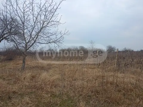 Продажа Земля / участок в Gurjaanis Munitsipalitetshi view 2