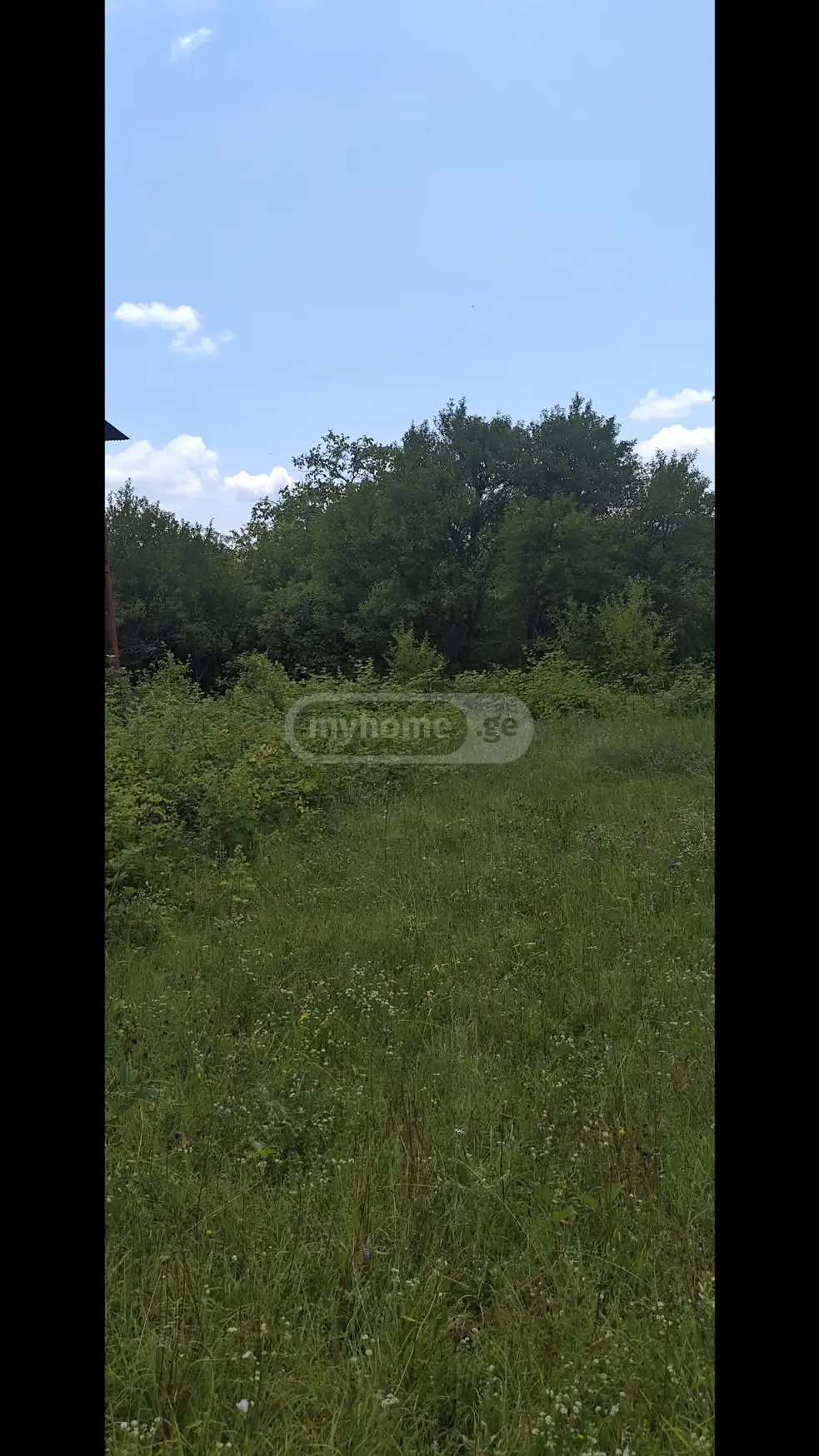 Продажа 8-комната Частный дом в Sagarejos Munitsipalitetshi view 4