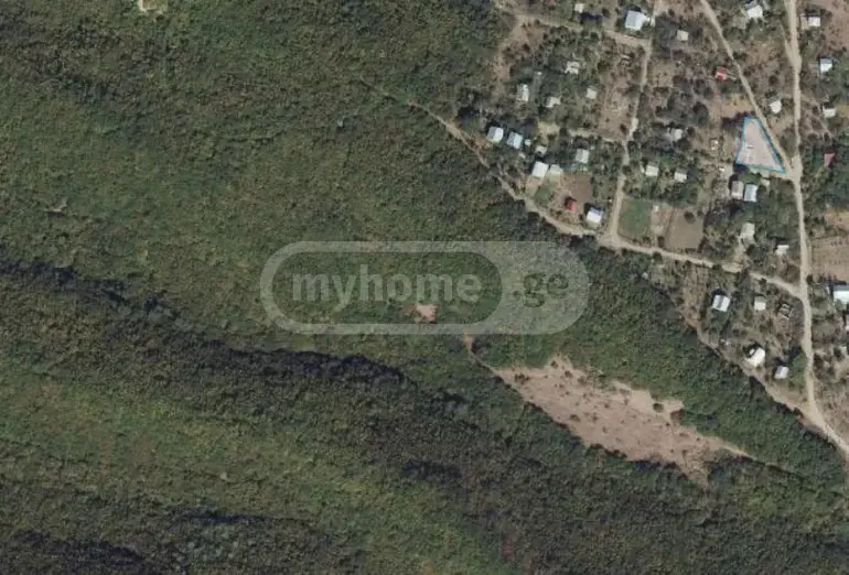 For Sale Sasoplo-Sameurneo Land Plot Avlabarshi view 4