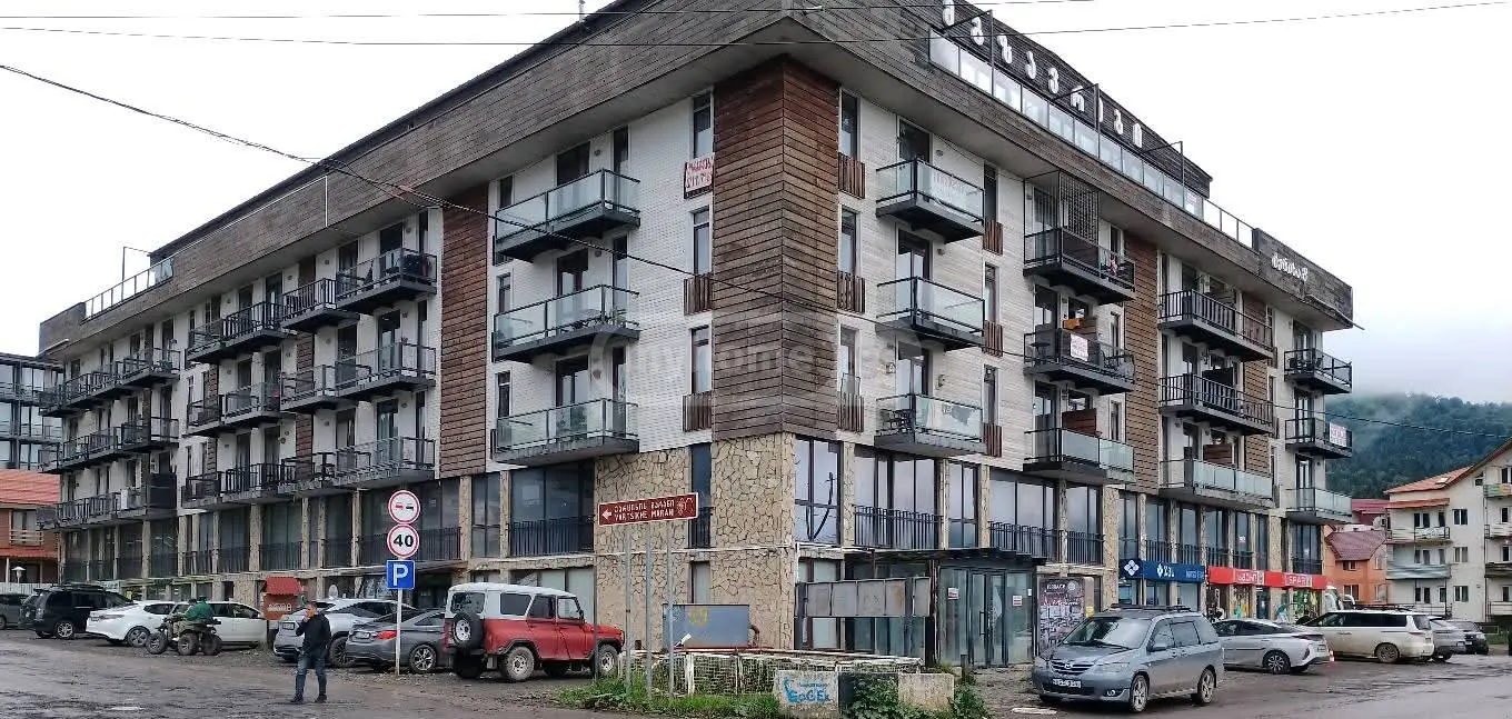 დღიური ქირა 1-ოთახი ბინა Bakurianshiში view 5