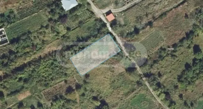 For Sale Sasoplo-Sameurneo Land Plot Sagarejos Munitsipalitetshi view 2