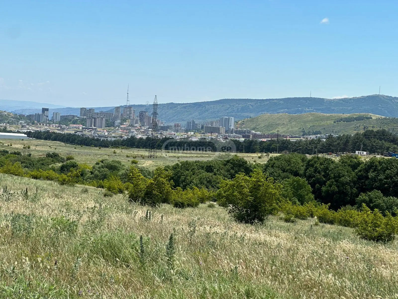 Land For Rent. Lisi Lake view 17