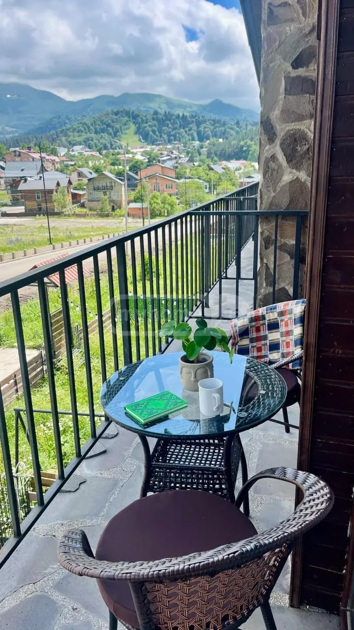 დღიური ქირა 3-ოთახი კერძო სახლი Bakurianshiში view 1