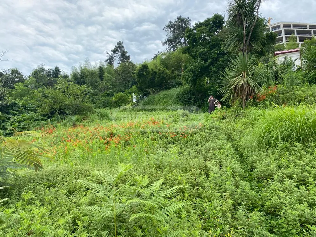 For Sale Sasoplo-Sameurneo Land Plot In Batumi view 7