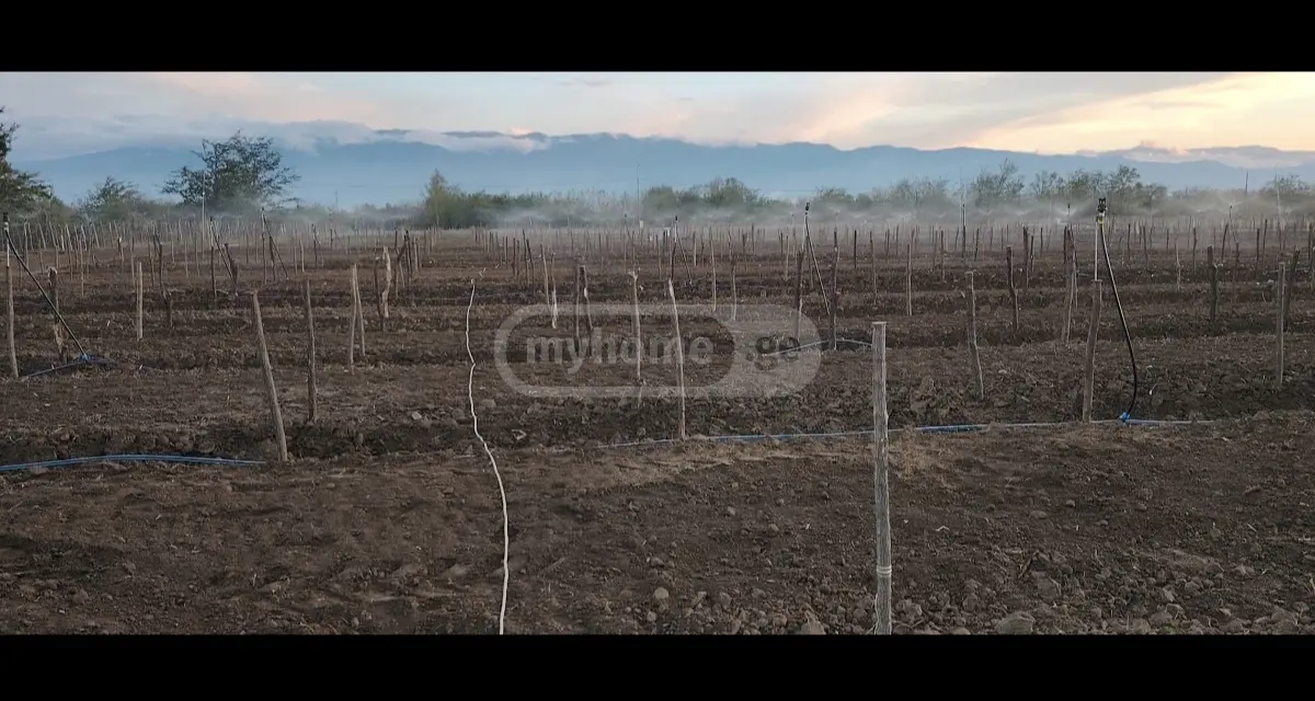 For Sale Sasoplo-Sameurneo Land Plot Tsqaltubos Munitsipalitetshi view 8
