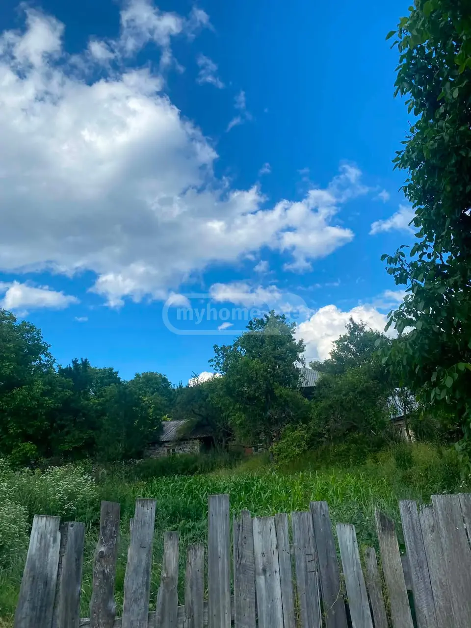 For Sale Sasoplo-Sameurneo Land Plot Abastumanshi view 6