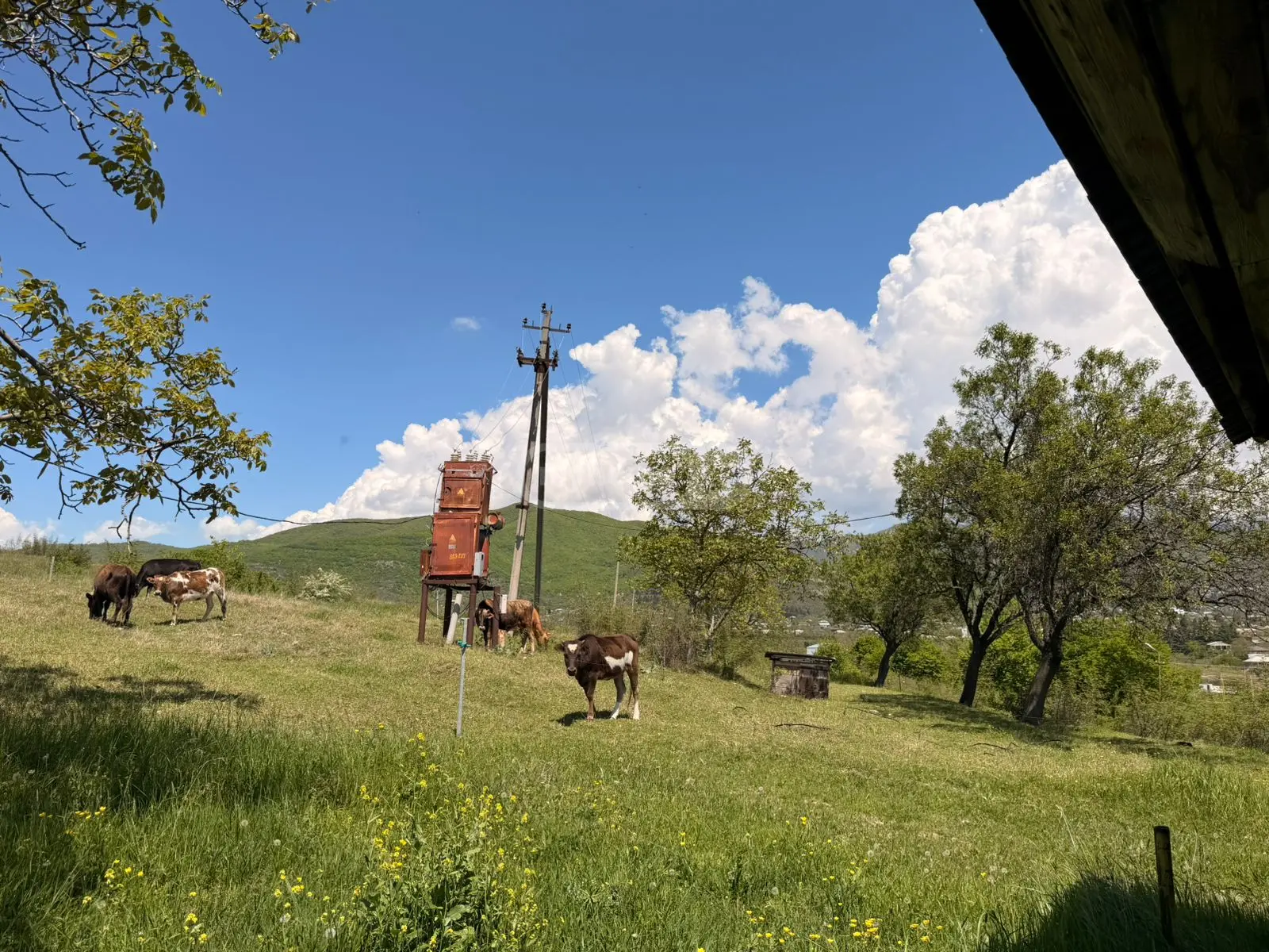 For Sale Sainvestitsio Land Plot Sagarejoshi view 5