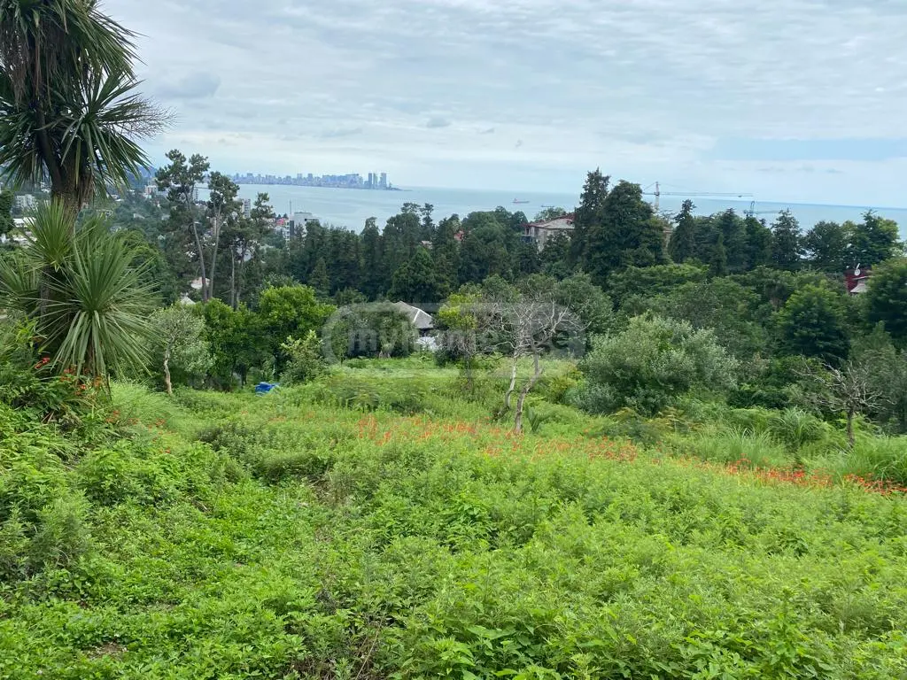 For Sale Sasoplo-Sameurneo Land Plot In Batumi view 1