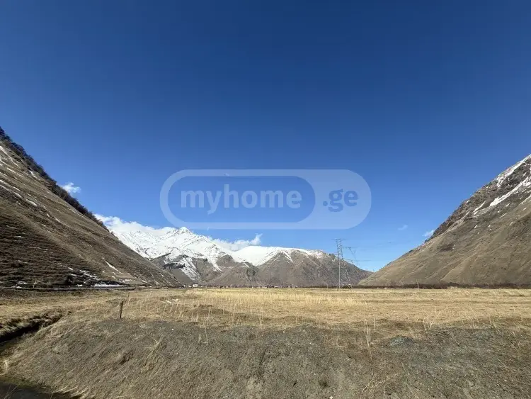 For Sale Sasoplo-Sameurneo Land Plot Qazbegshi view 1