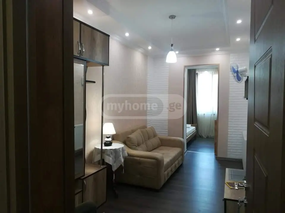 Daily Rent 4 Room Apartment Borjomshi view 6