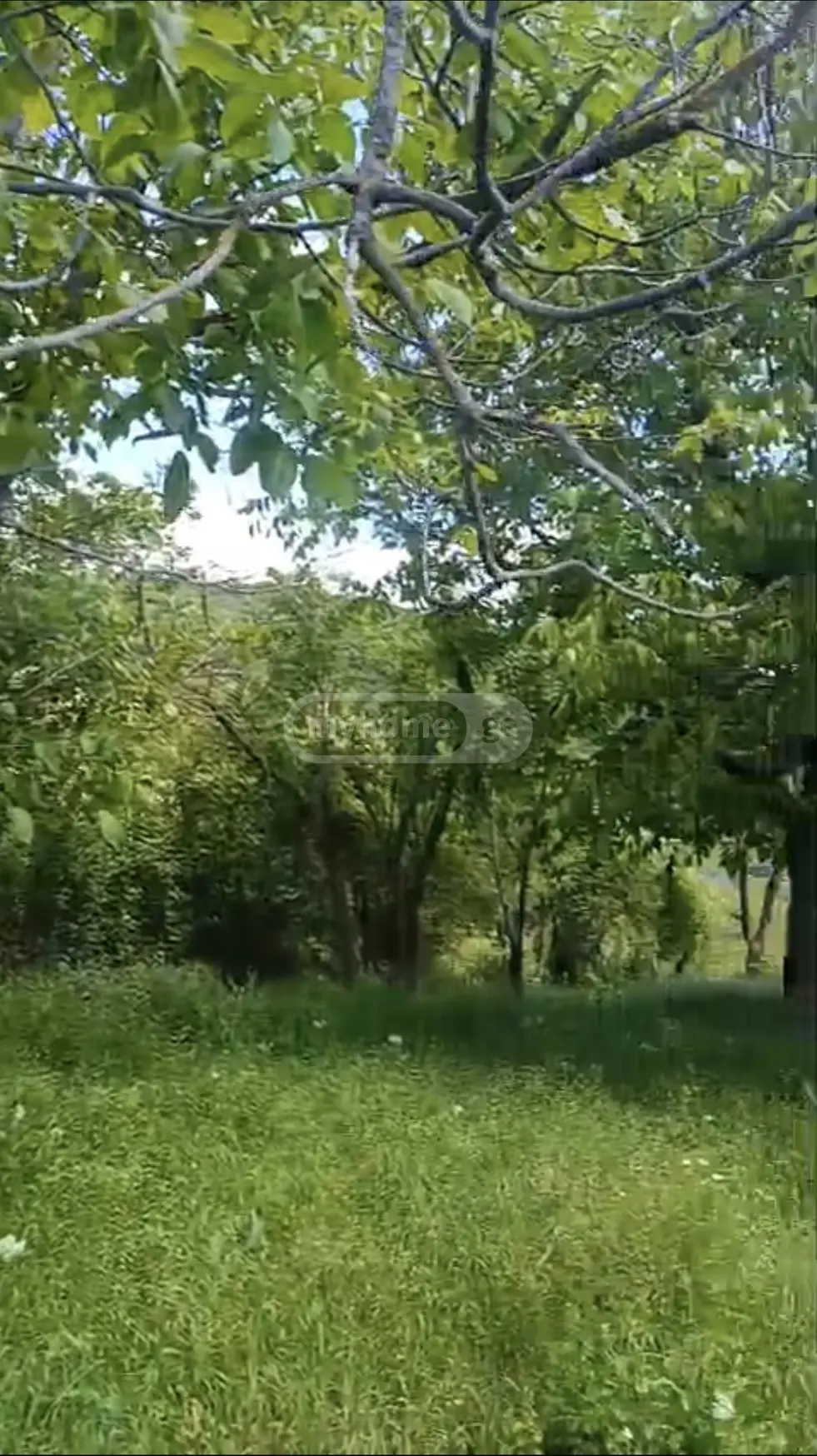 Продажа Земля / участок в Dushetis Munitsipalitetshi view 1