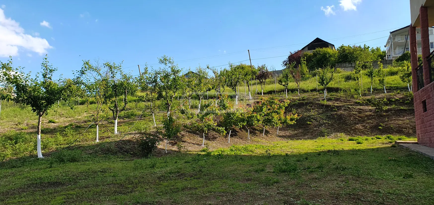 Продажа 7-комната Загородный дом в Sagarejos Munitsipalitetshi view 9