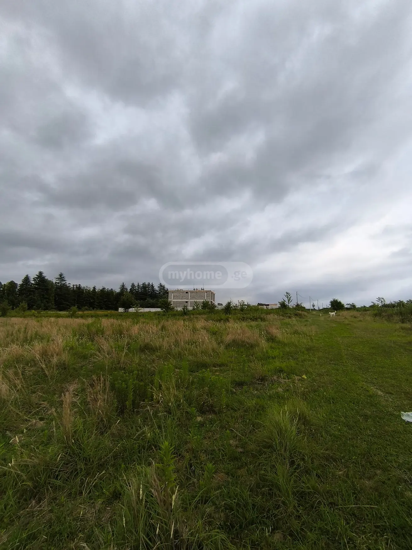 For Sale Sasoplo-Sameurneo Land Plot Tsqaltuboshi view 4
