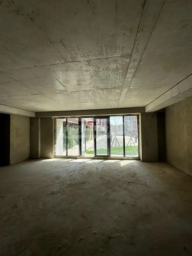For Rent Savachro Commercial Space Tabakhmelashi view 3