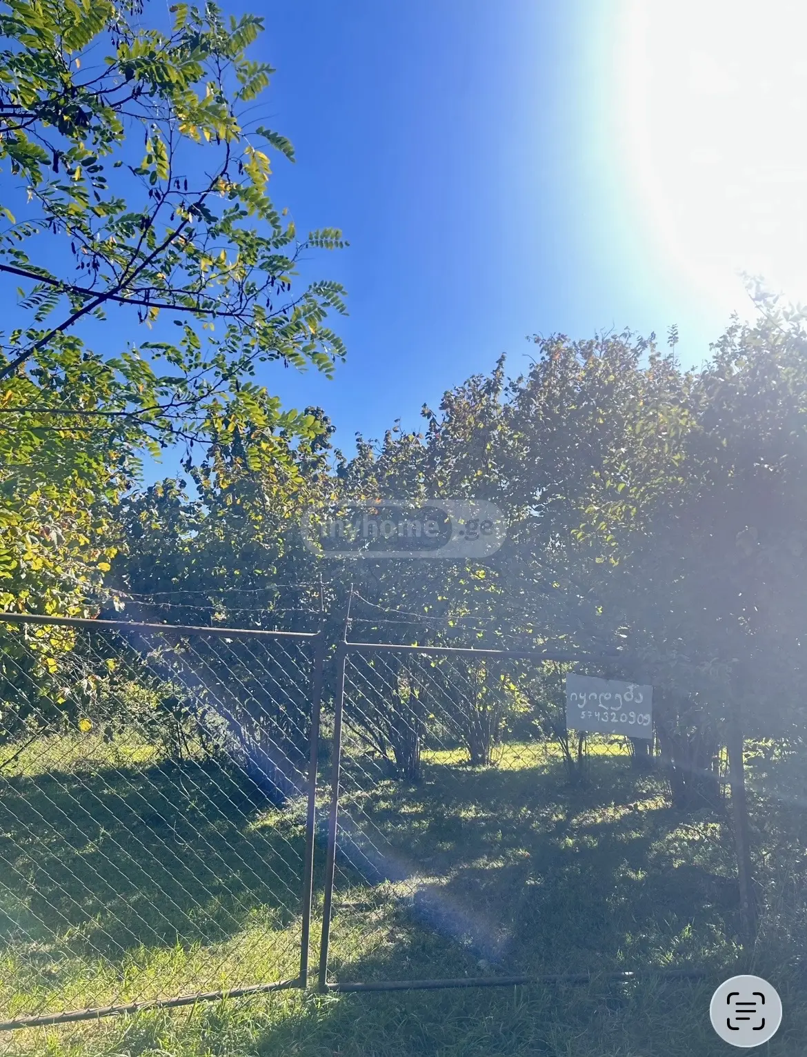 For Sale Sasoplo-Sameurneo Land Plot Qvarelshi view 1