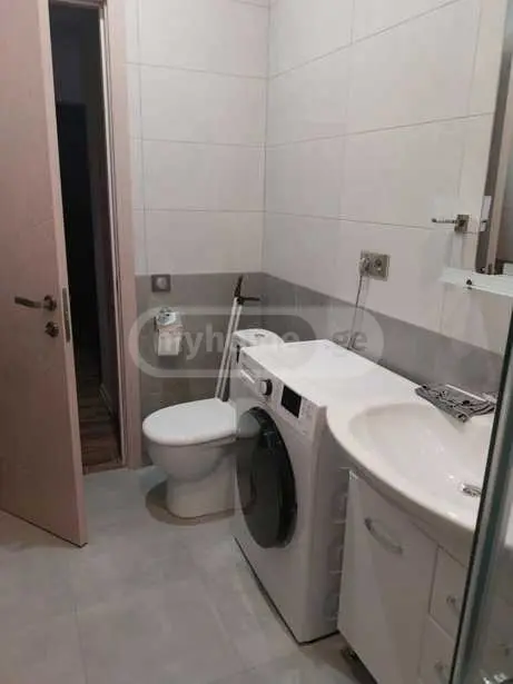 2-Room Apartment For Rent In Tbilisi, Alexander Pushkin St, 1 view 13