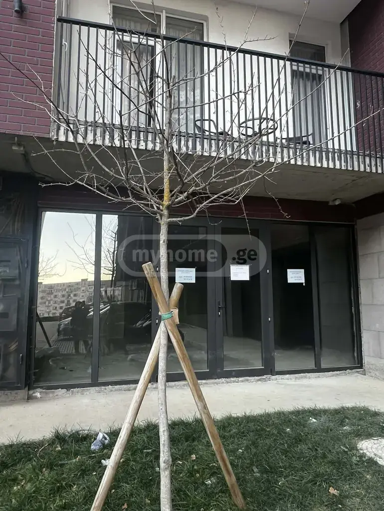 For Rent Savachro Commercial Space Tabakhmelashi view 8
