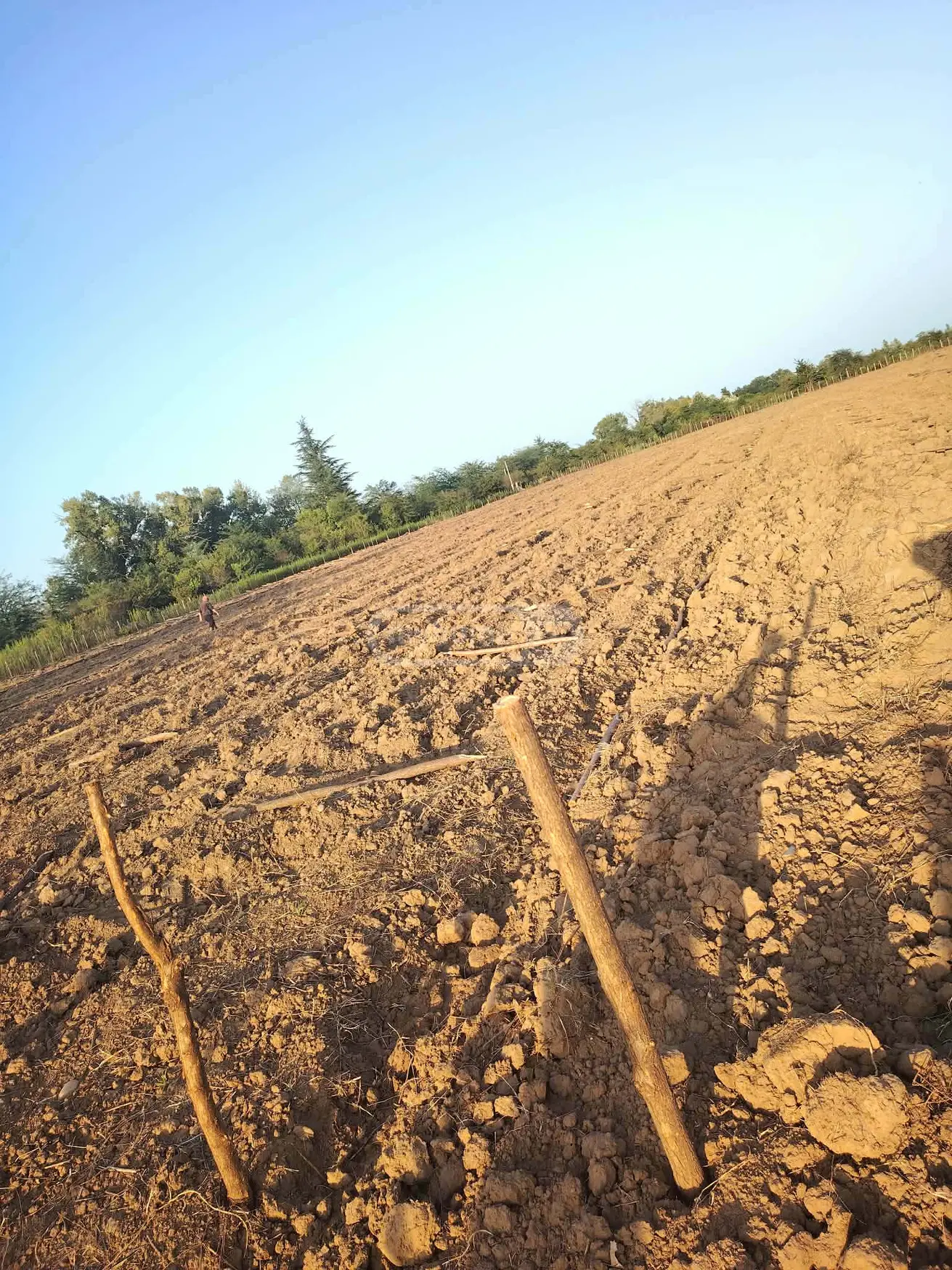 For Sale Sasoplo-Sameurneo Land Plot Tsqaltubos Munitsipalitetshi view 1