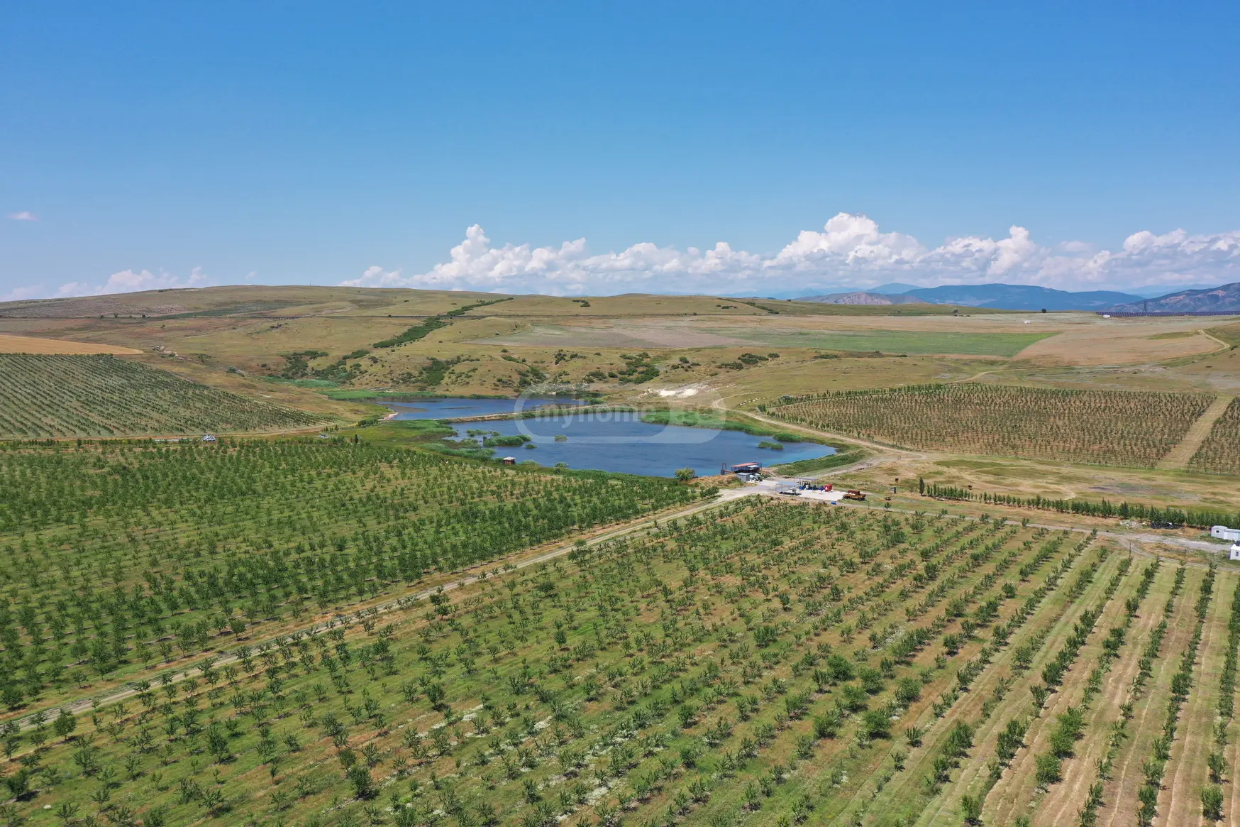 For Sale Sasoplo-Sameurneo Land Plot Kaspis Munitsipalitetshi view 4