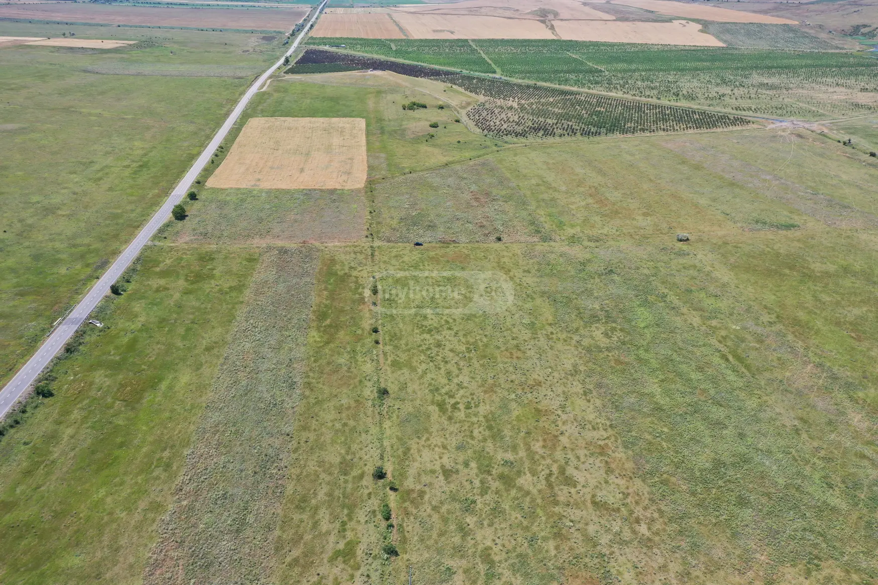 For Sale Sasoplo-Sameurneo Land Plot Kaspis Munitsipalitetshi view 3