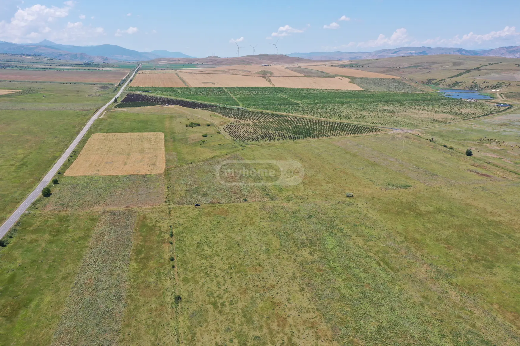 For Sale Sasoplo-Sameurneo Land Plot Kaspis Munitsipalitetshi view 2