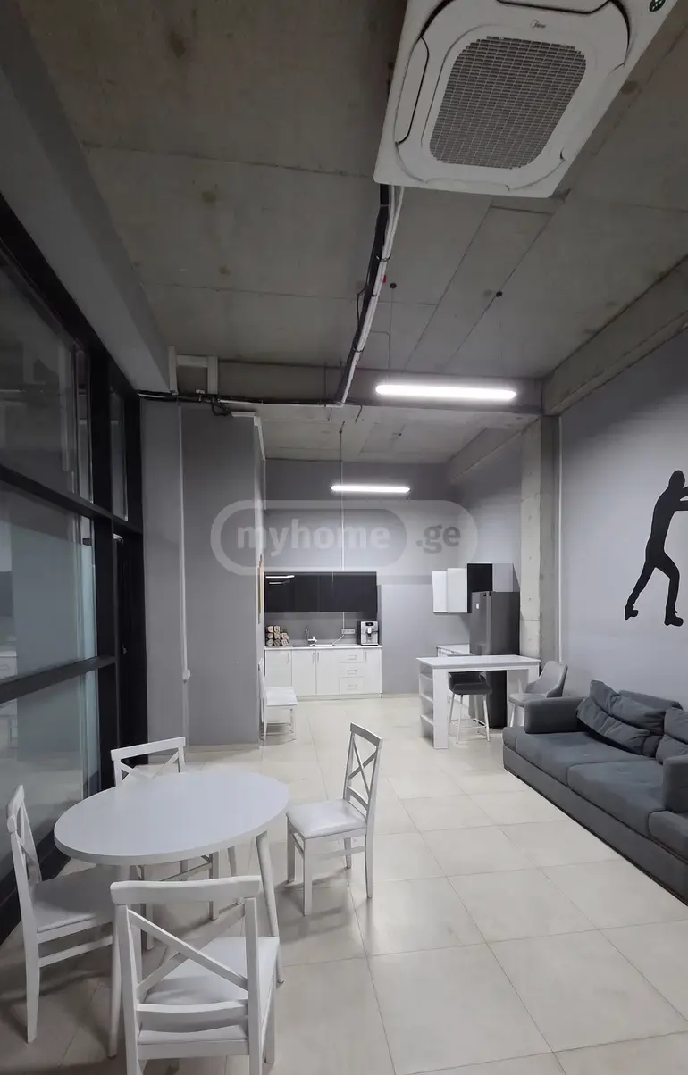 For Rent Universaluri Commercial Space Dighmis Masivshi view 10