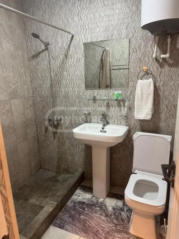 For Rent 10+ Room Sastumro Dighmis Masivshi view 9