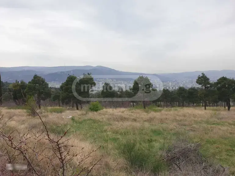 For Sale Ara Sasoplo-Sameurneo Land Plot Nadzaladevshi, 5 of 6