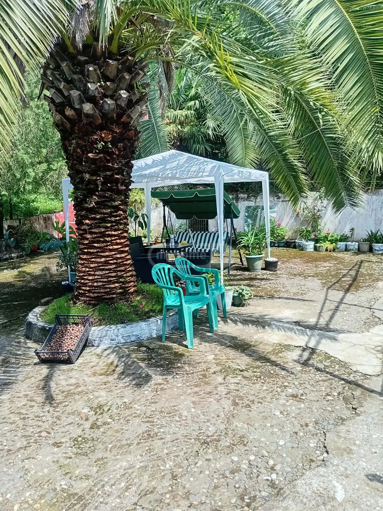 Daily Rent 1 Room Private House view 8