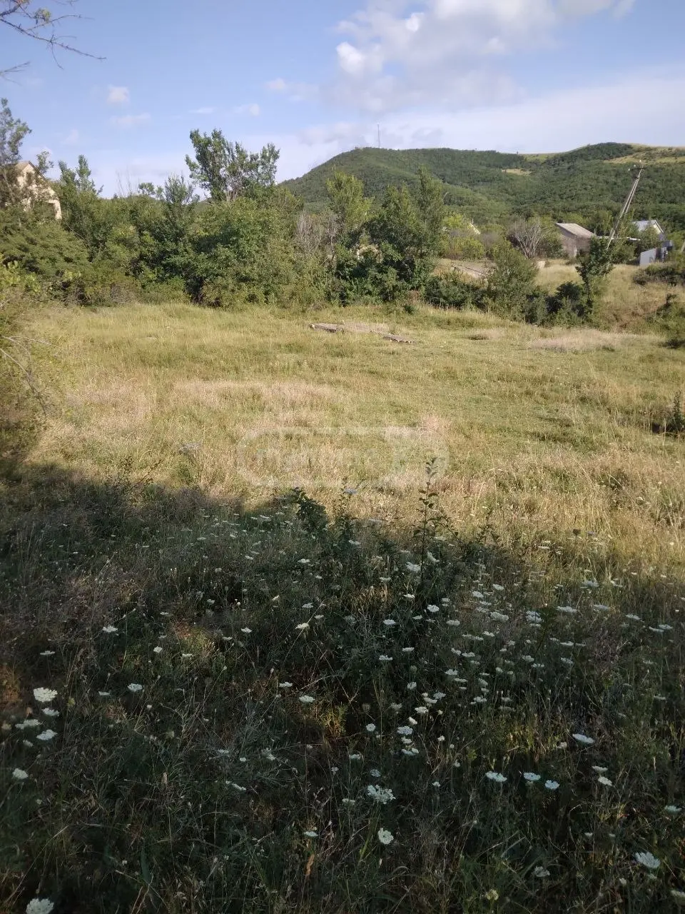 For Sale Sasoplo-Sameurneo Land Plot Gardabnis Munitsipalitetshi view 3