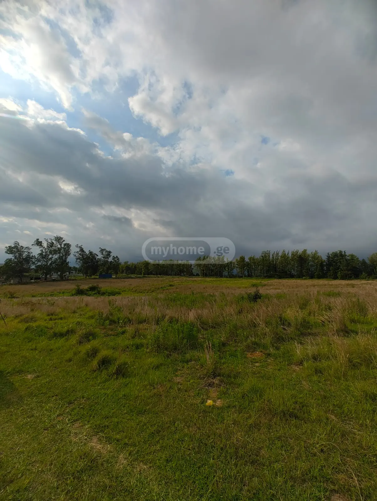 For Sale Sasoplo-Sameurneo Land Plot Tsqaltuboshi view 2