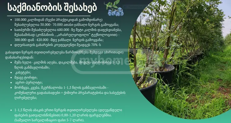 Продажа Земля / участок в Zugdidis Munitsipalitetshi view 9