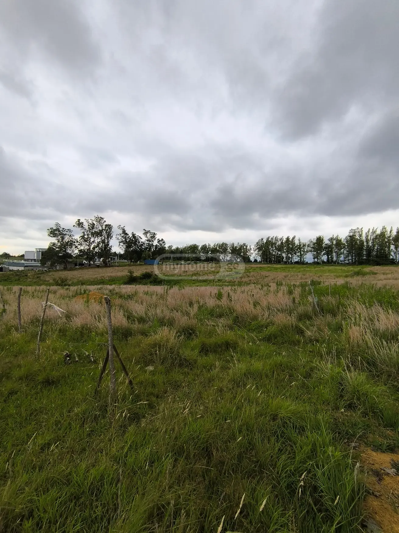 For Sale Sasoplo-Sameurneo Land Plot Tsqaltuboshi view 3