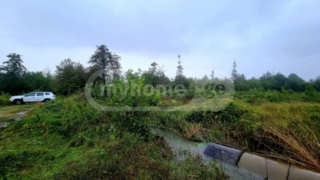 For Sale Sasoplo-Sameurneo Land Plot Ozurgetis Munitsipalitetshi view 2