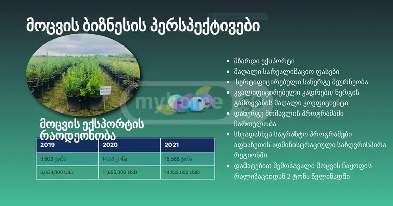 Продажа Земля / участок в Zugdidis Munitsipalitetshi view 7