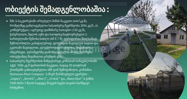 Продажа Земля / участок в Zugdidis Munitsipalitetshi view 8