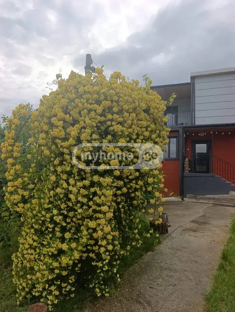 Продажа 4-комната Частный дом в Mtskhetis Munitsipalitetshi view 9